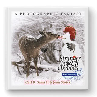 Stranger in the Woods, still images books